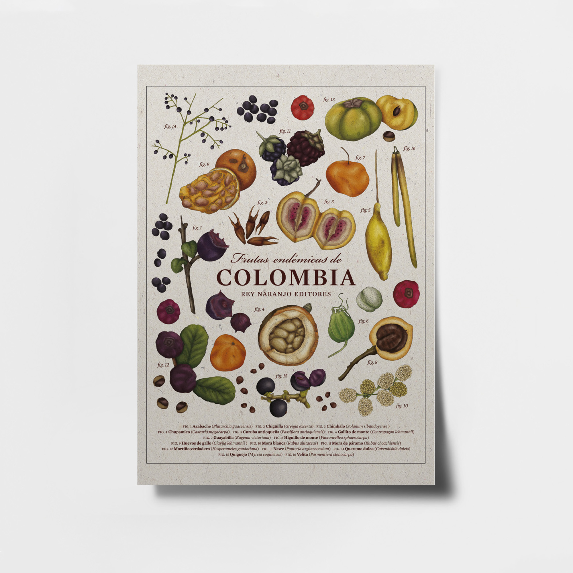 Cartel: frutas endémicas