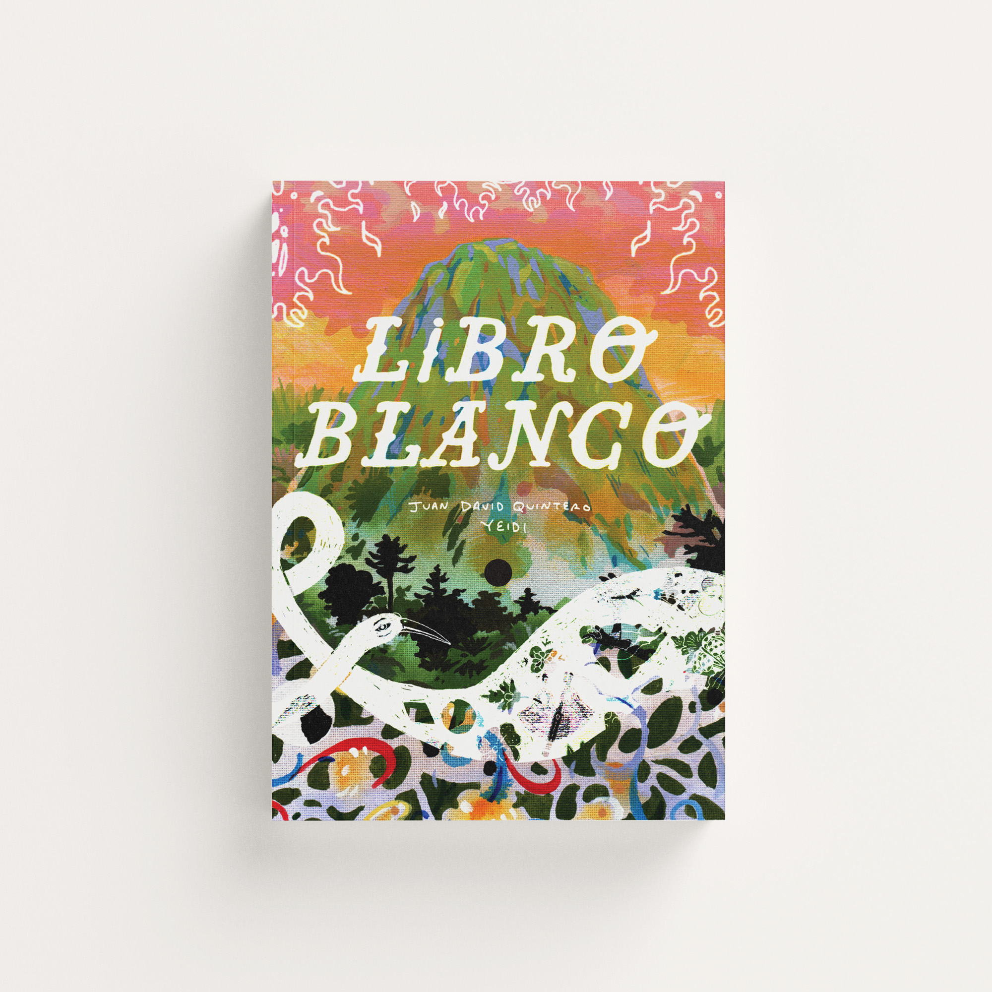 Libro Blanco